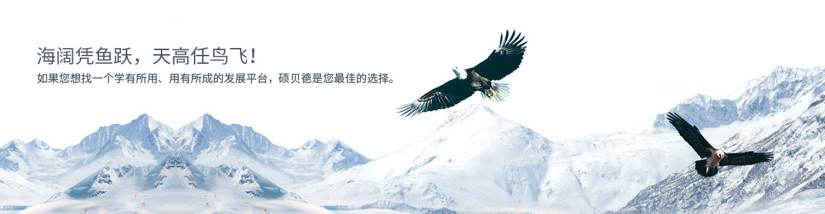 廣東無線充電技術(shù)